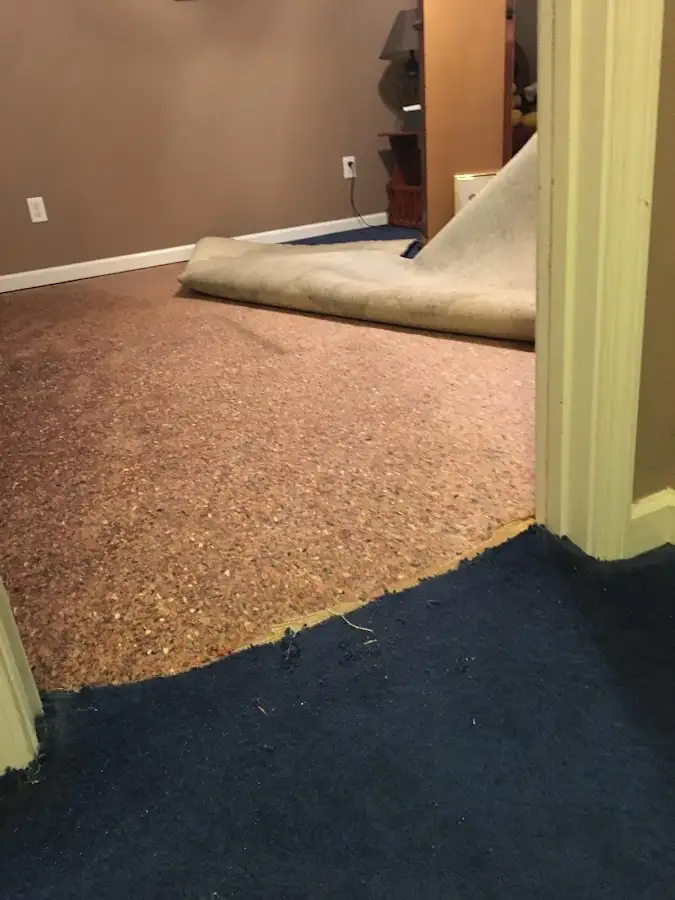 Carpet pad removal revealing water damage during Water Mitigation Services in Bound Brook