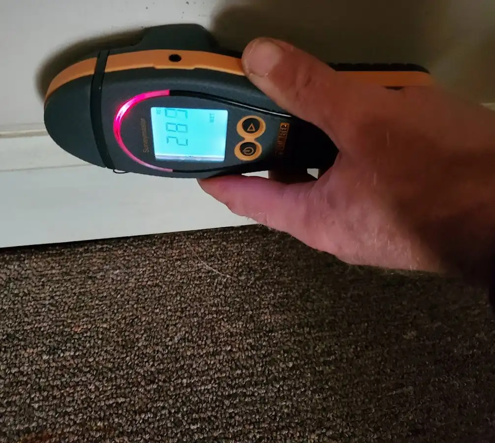 Moisture detection at baseboard during Sewage Cleanup & Sanitation in Bound Brook